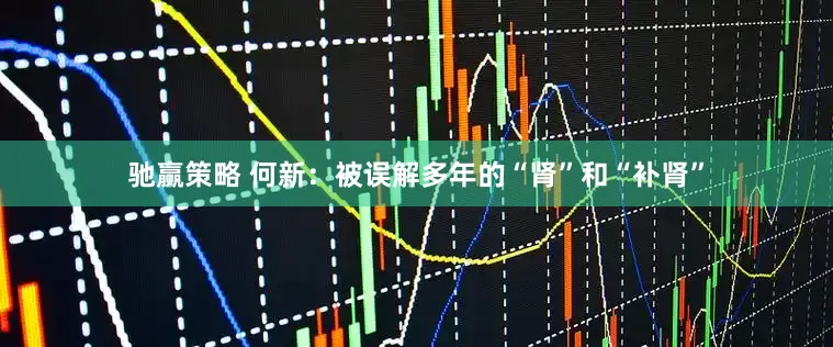 驰赢策略 何新：被误解多年的“肾”和“补肾”
