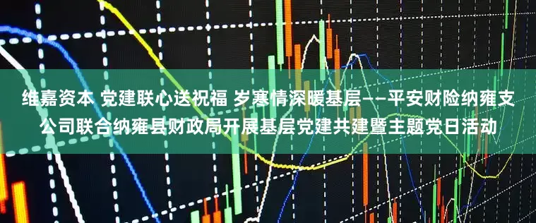 维嘉资本 党建联心送祝福 岁寒情深暖基层——平安财险纳雍支公司联合纳雍县财政局开展基层党建共建暨主题党日活动